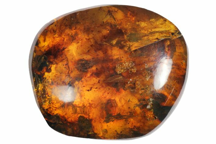 Polished Chiapas Amber ( g) - Mexico #114844